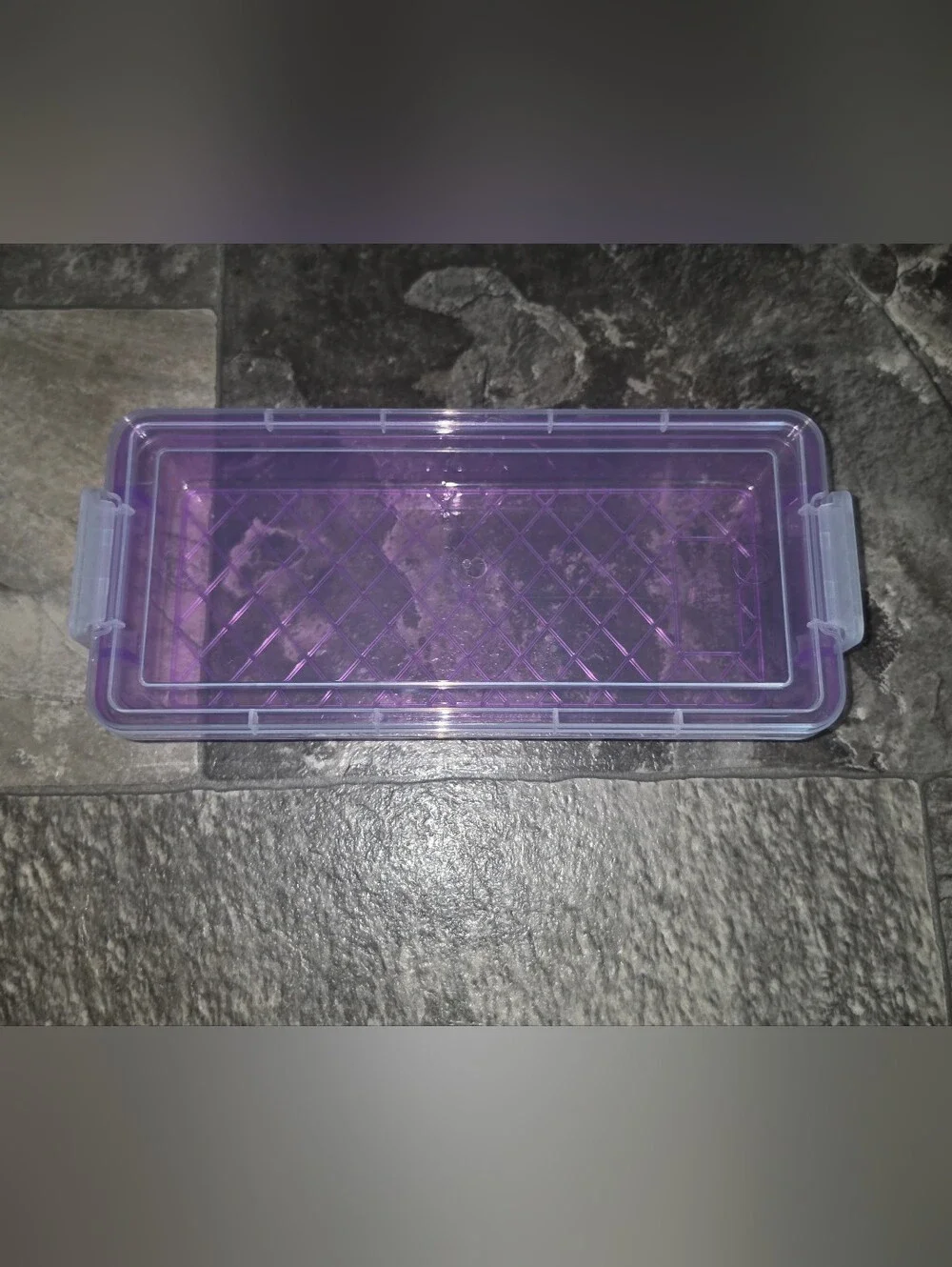 Rectangular Organzer with 2 Lock Containers in Purple BNIB